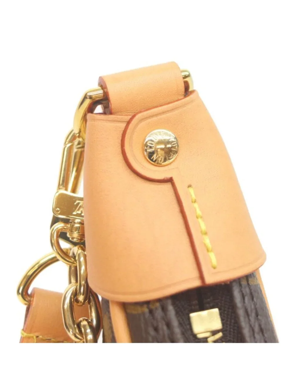Louis Vuitton Monogram Loop Shoulder Bag